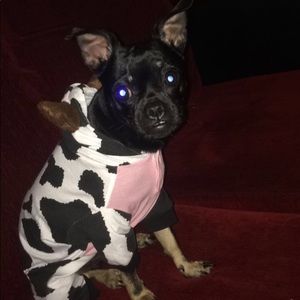 Meet your Posher, Anthony